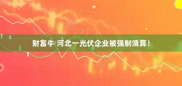 财富牛 河北一光伏企业被强制清算！