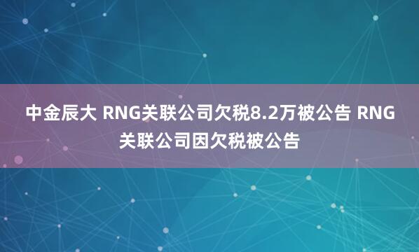中金辰大 RNG关联公司欠税8.2万被公告 RNG关联公司因欠税被公告